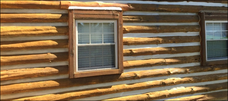 Log Home Whole Log Replacement  Randolph County, Georgia