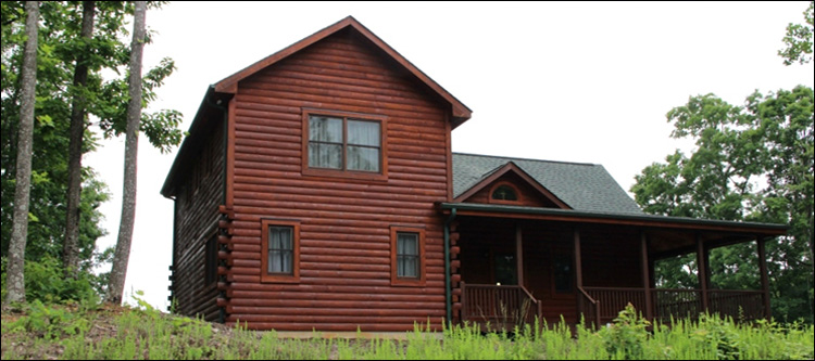 Professional Log Home Borate Application  Randolph County, Georgia